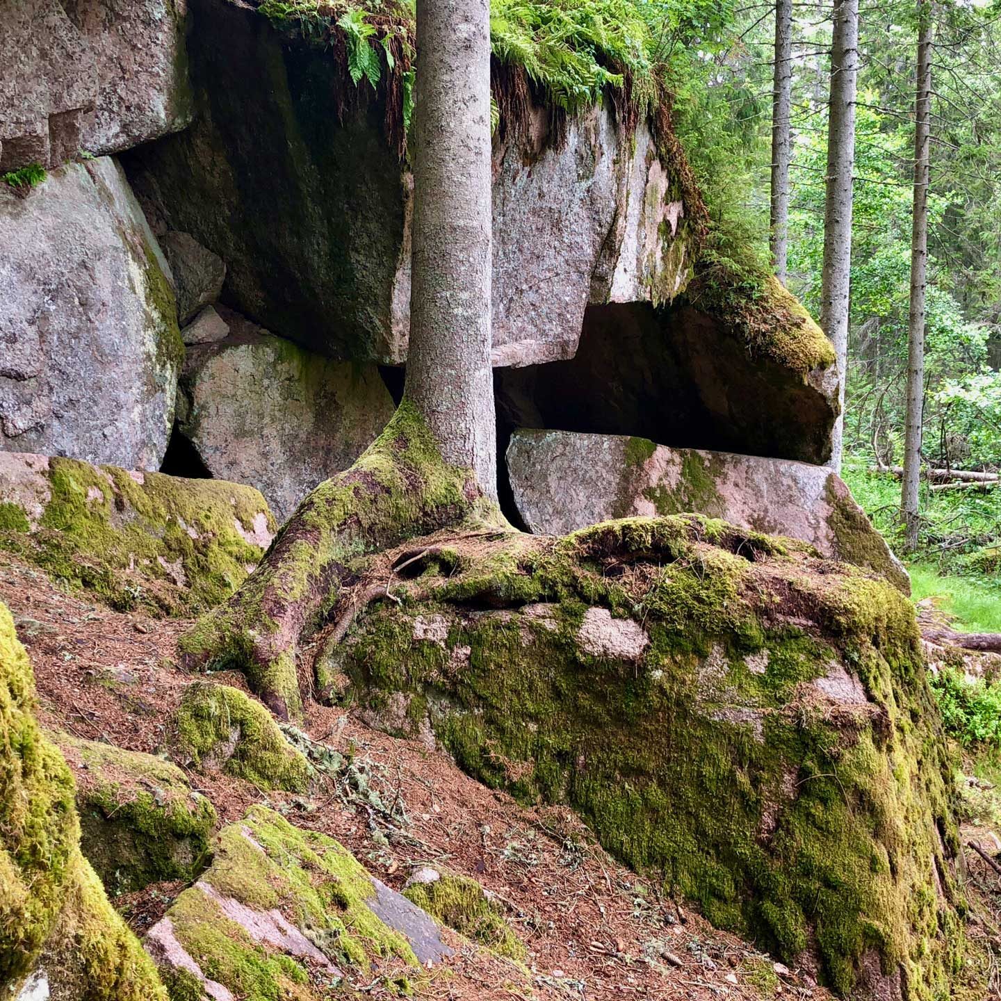 I närheten av Amaliagrottan