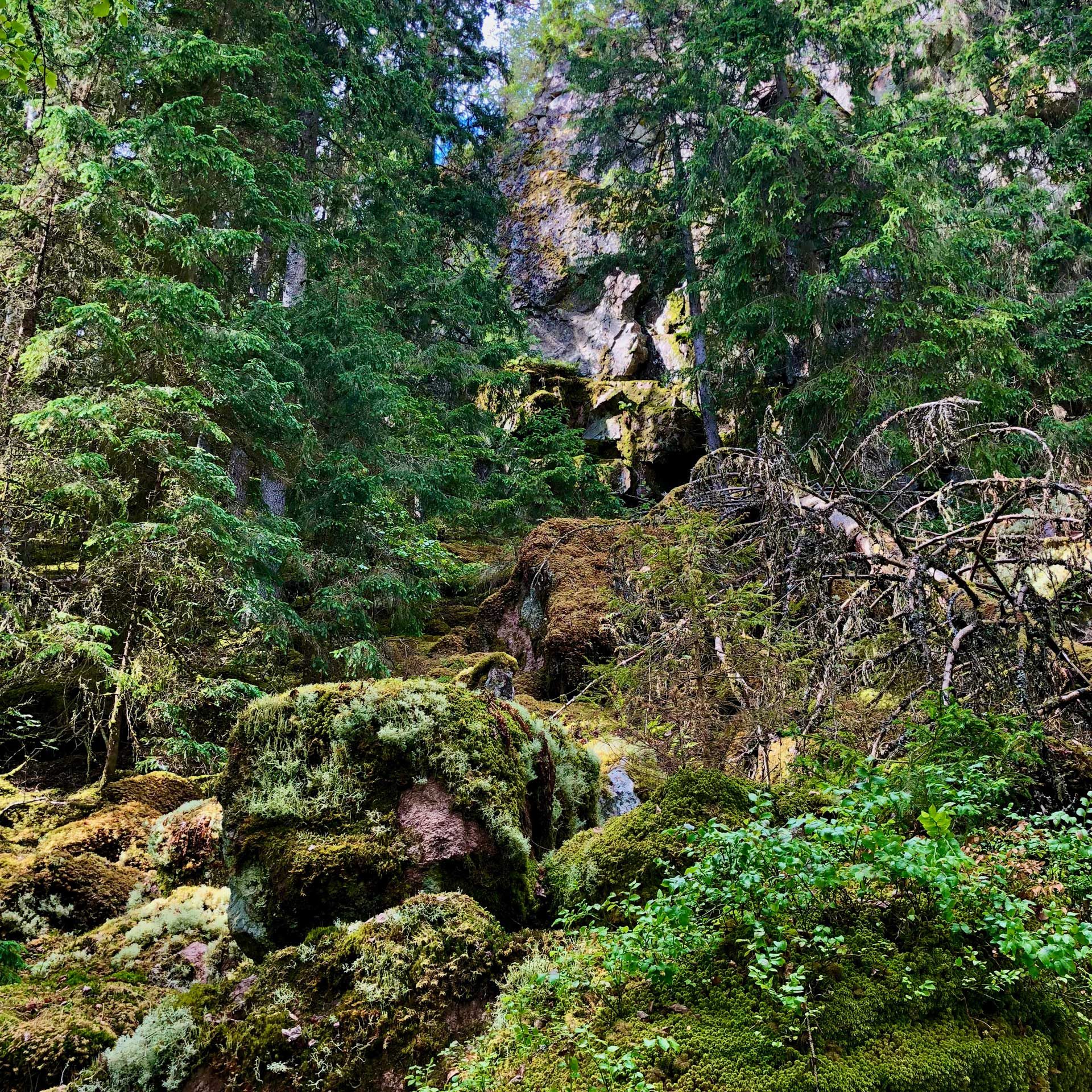 Vy upp mot Korpeberget