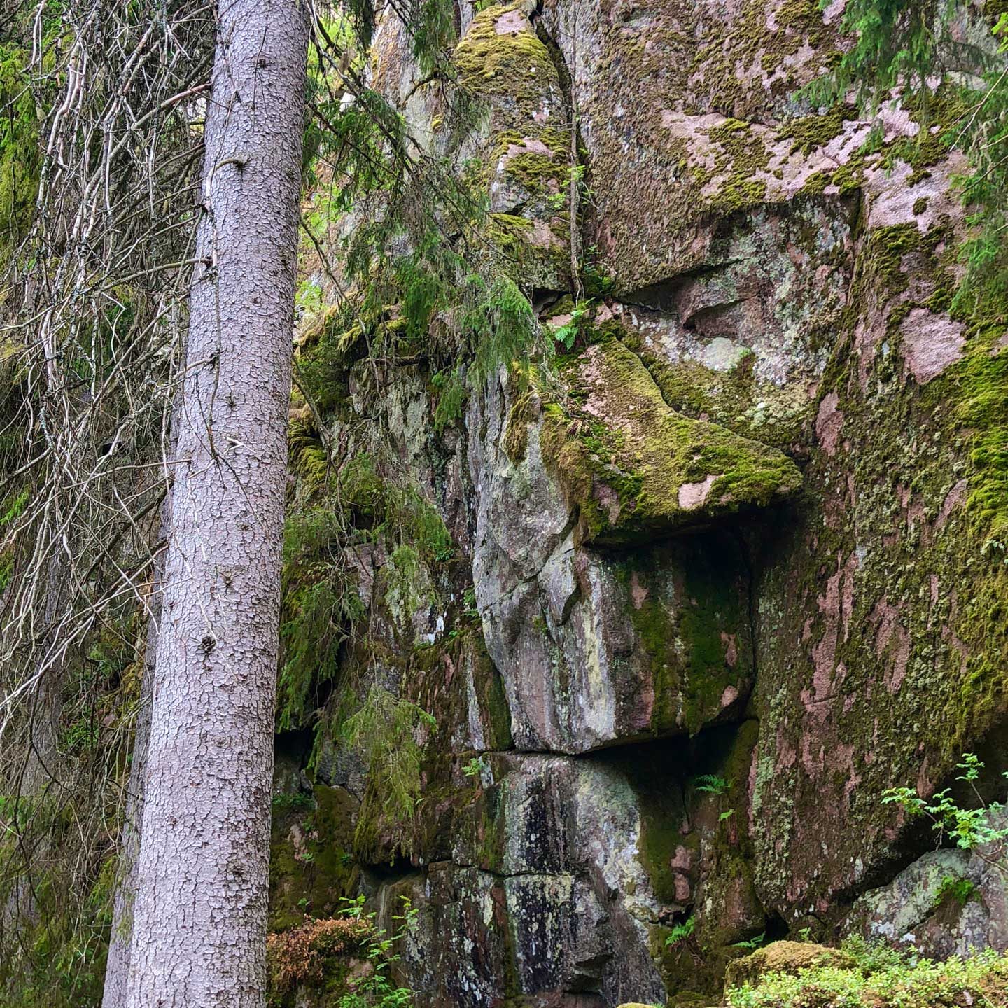 Bergvägg vid Korpeberget