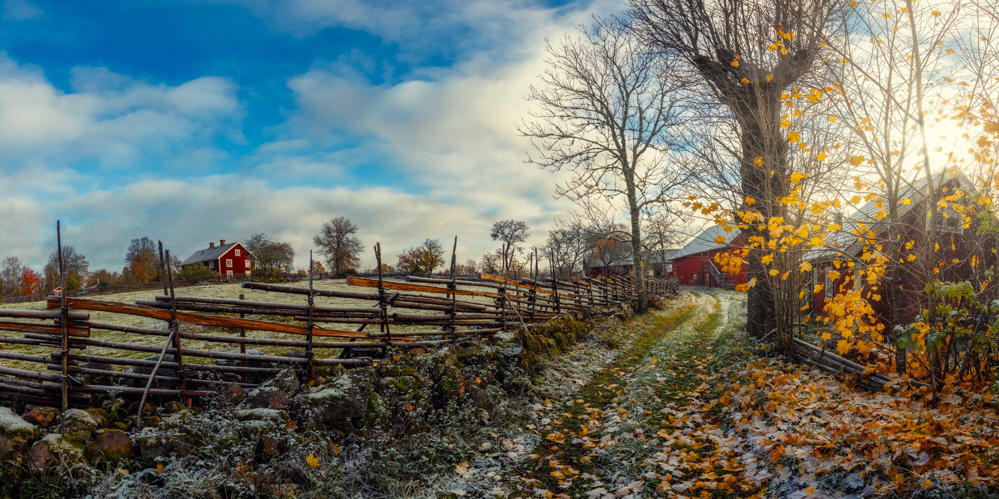 Snölandskap i Börsebo Snölandskap i Börsebo