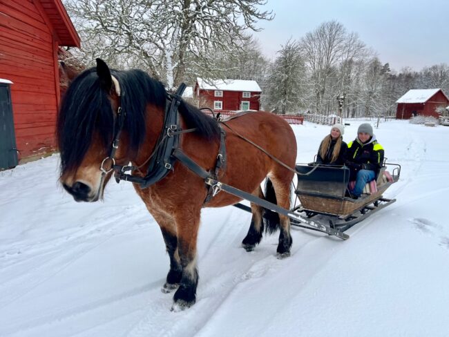 En tur i släden